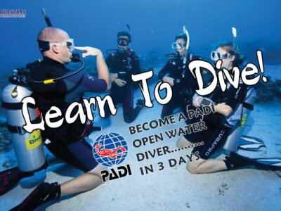 Red sea diving-scuba diving-Daily sun travel