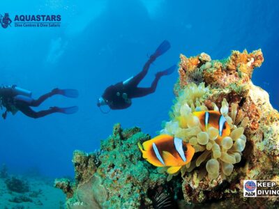 red sea diving- Daily sun travel