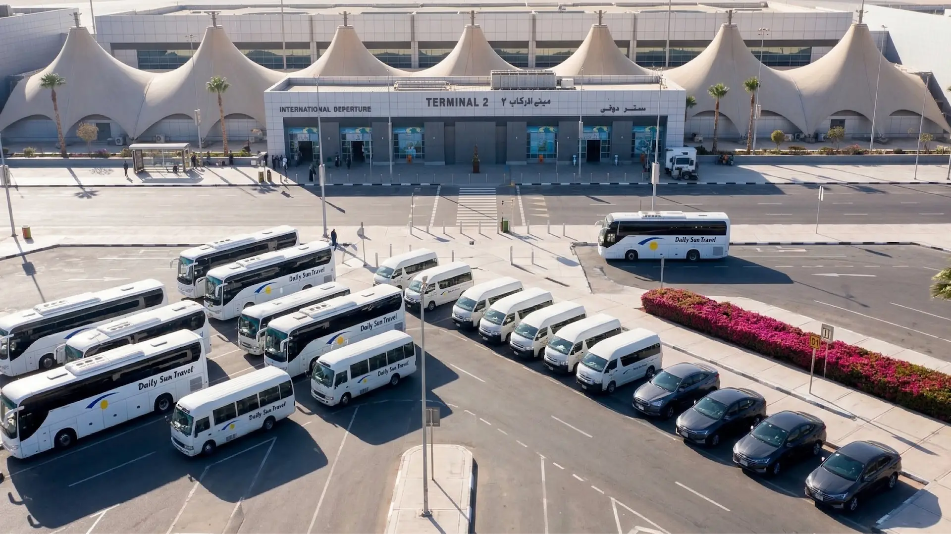 Preview of Daily Sun Travel Egypt B2B video