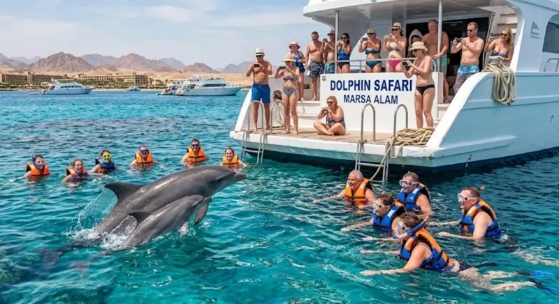 Marsa Alam DMC Services