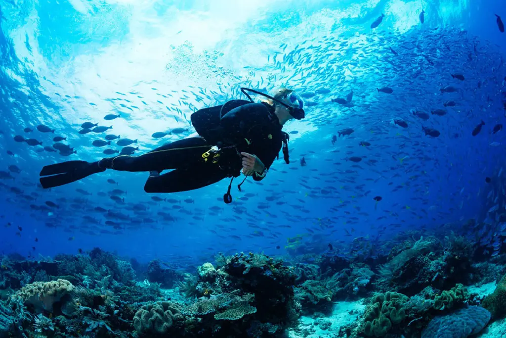Hurghada dive center used for beginner scuba diving instruction