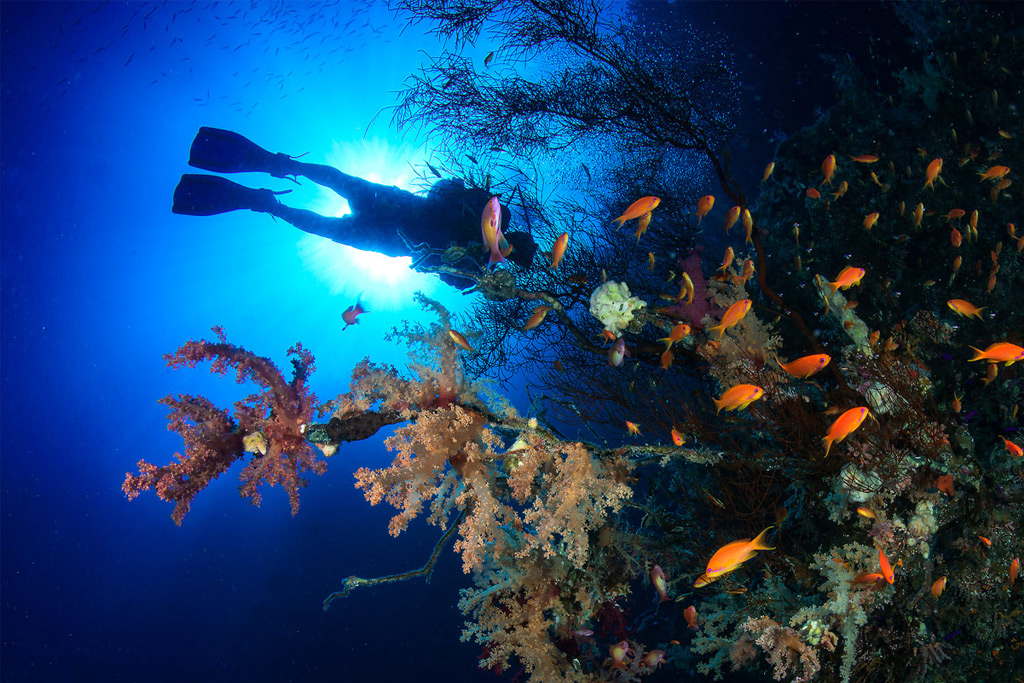 diving boat used for a beginner scuba diving tour in Sharm El Sheikh
