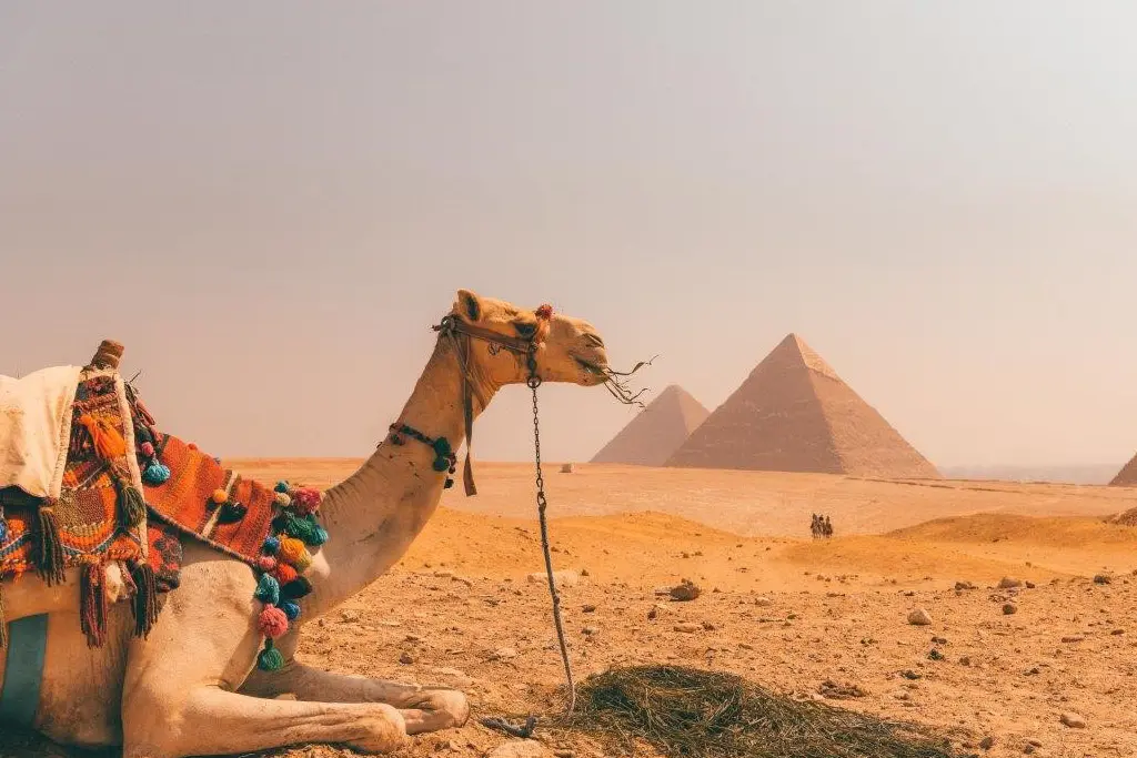 Cairo and Alexandria overnight tour from Marsa Alam by plane visiting the Pyramids and Qaitbay Citadel