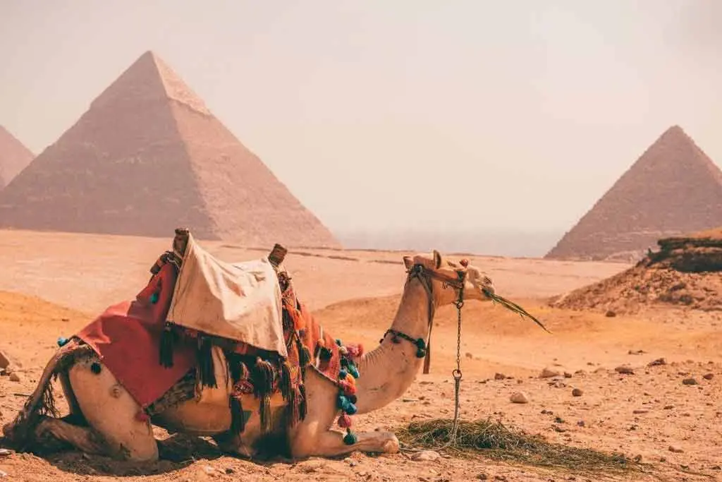 Cairo day tour from Hurghada by plane visiting the Egyptian Museum and Giza Pyramids