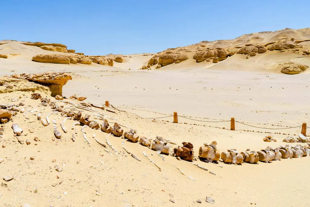 Qarun Lake view during a Fayoum Oasis tour from Cairo