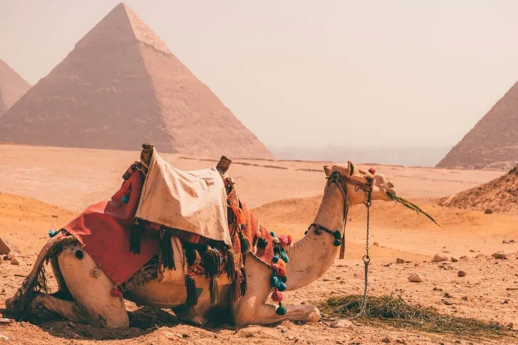 Panoramic view of the three Giza Pyramids during a private tour