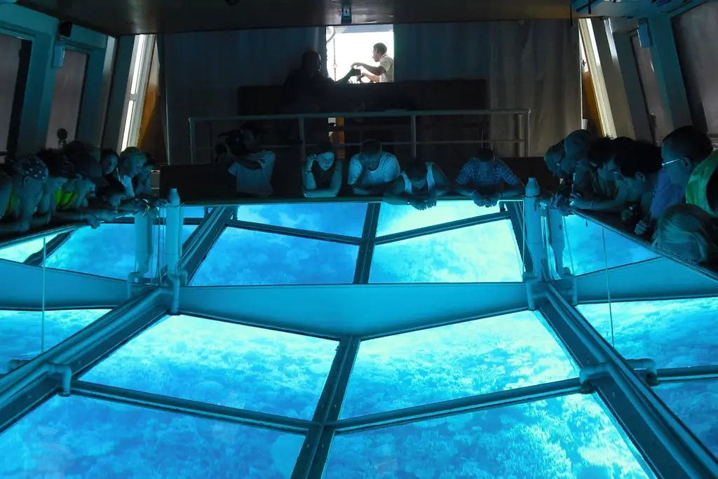 colorful coral reefs seen from a Safaga glass bottom boat