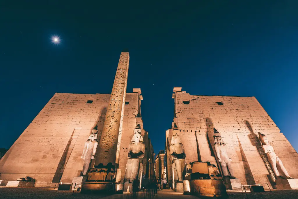 Illuminated Luxor Temple visited during a 2-day overnight fly tour from Alexandria