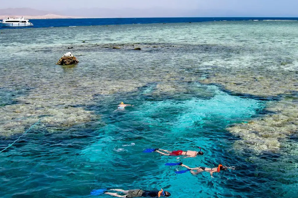 Red Sea coral reefs near Tiran Island