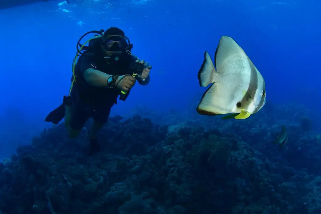 Tiran Island Snorkeling Trip from Sharm El Sheikh main image