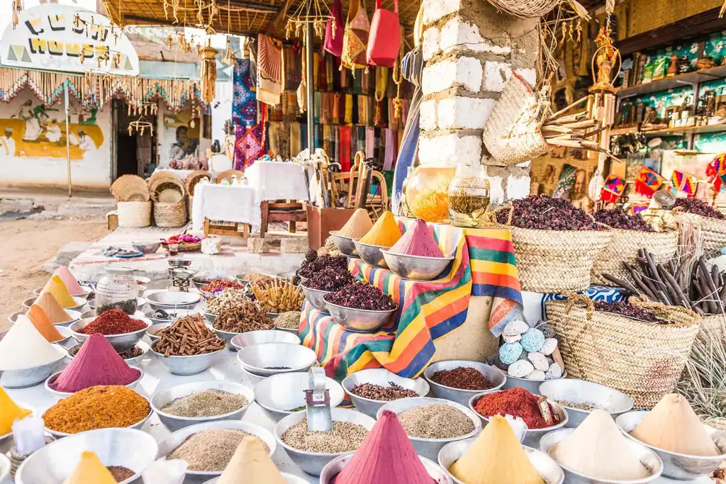 Traditional Nubian house visited during a cultural tour from Aswan