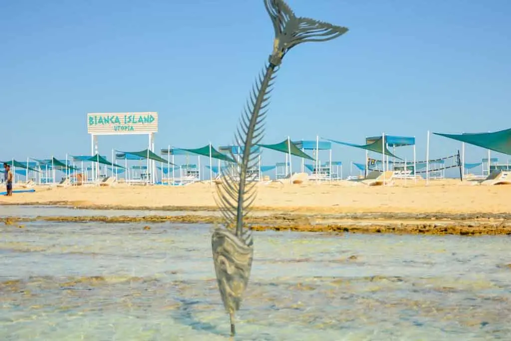 Utopia Island beach during a snorkeling trip from Safaga