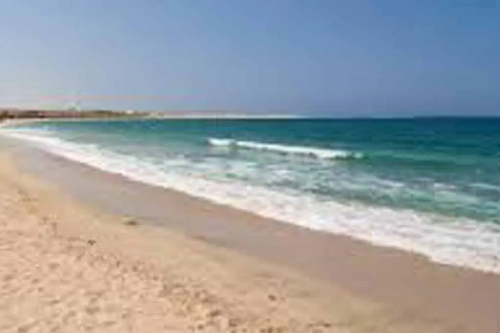 Red Sea coral reefs on a Utopia Island snorkeling trip